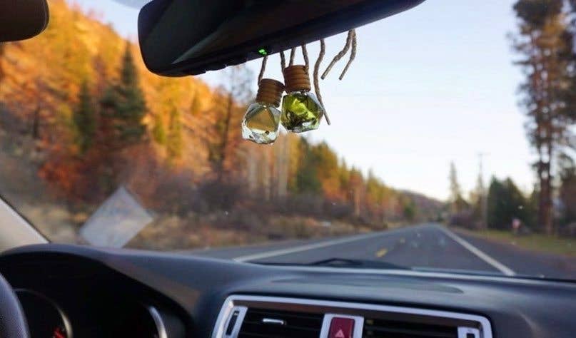 Car Diffusers | Air Fresheners: Cashmere Plum