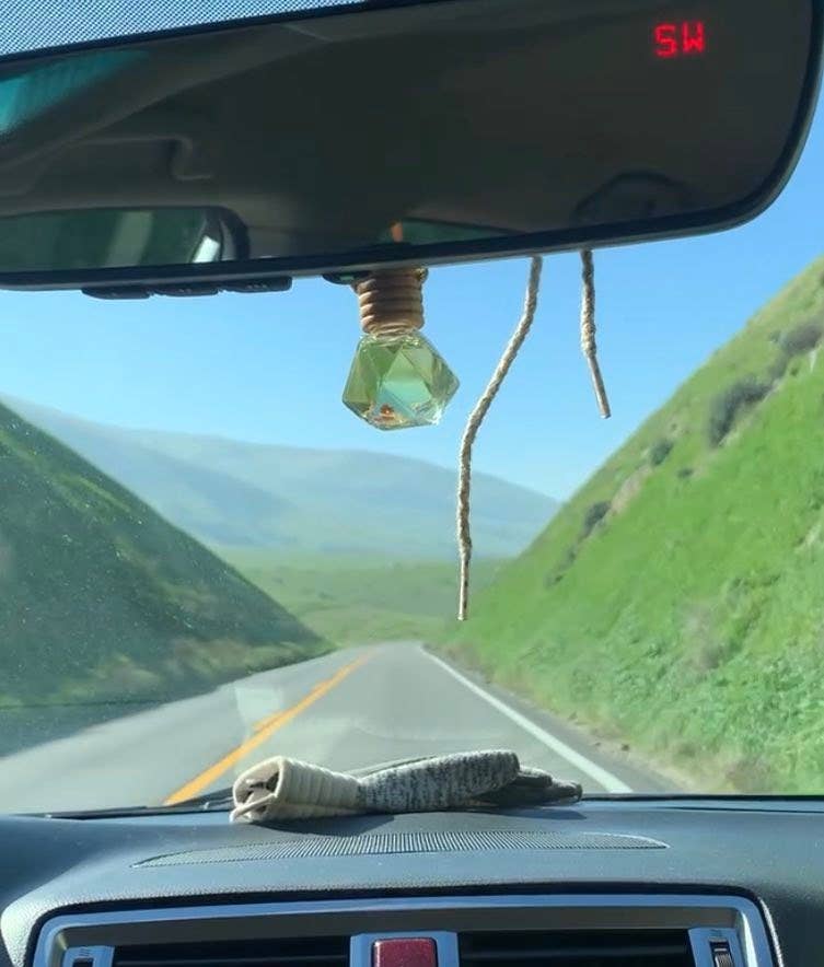 Car Diffusers | Air Fresheners: Cashmere Plum